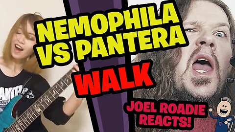 PANTERA VS NEMOPHILA | Walk - Roadie Reacts