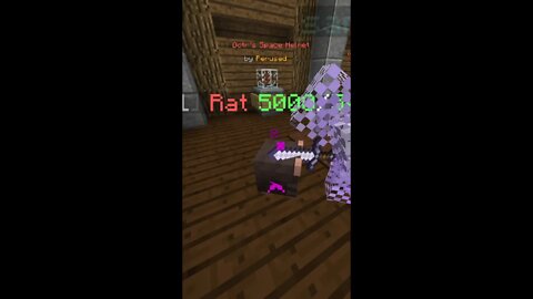 Immortal Rat Wouldn't Die (Hypixel Skyblock)