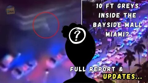Miami Mall's Mystery Alien: What we wanted 2 See & Shoppers Share Wild Theories