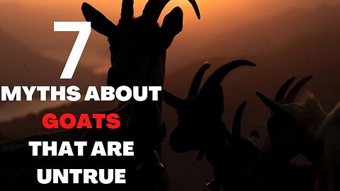 Busting the Biggest Myths and Misconceptions About Goats