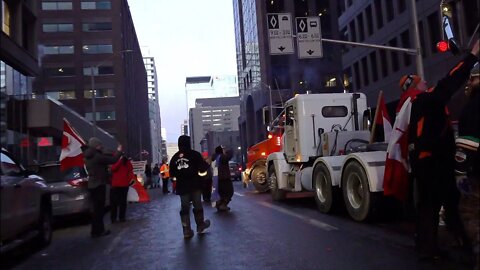 🔴 LIVE - Ottawa Convoy Night Shift