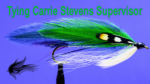 Tying Carrie Stevens Supervisor - Dressed Irons