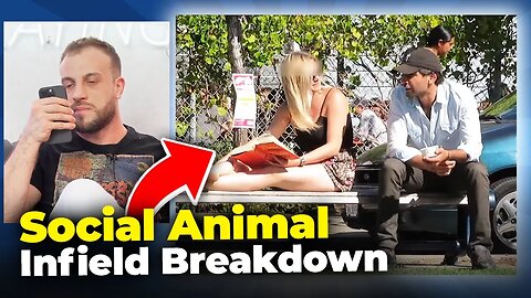 Does Social Animal Have Game? Daygame Infield Breakdown