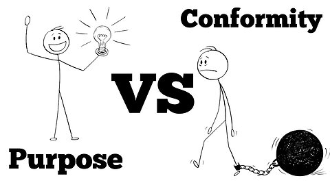 A Story About PURPOSE vs CONFORMITY