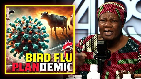 Learn How To Prepare Your Family For The Coming Bird Flu Plandemic With Dr. Stella Immanuel