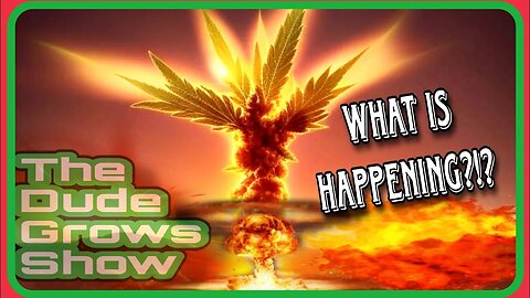 Cannabis Growers Beware: The Platform Problems Escalate - The Dude Grows Show 1,451