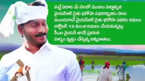 రొయ్యలు100 కౌంట్ 100 రూపాయలు సాక్షి