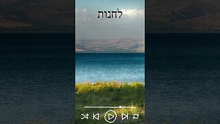 Acampar | לחנות | #shorts #shortsvideo #shortsyoutube