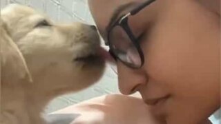 Puppy reciprocates owner's kisses