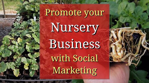 Promote your Nursery Business with Social Marketing