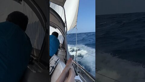 Sporty sailing off Antigua #shorts