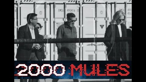 Preview Of 2000 Mules By The Doctor Of Common Sense