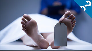 What the Stuff?!: 5 Gross Things That Happen When You Die