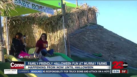 Murray Family Farms hosts October Fun Fest going now until Halloween