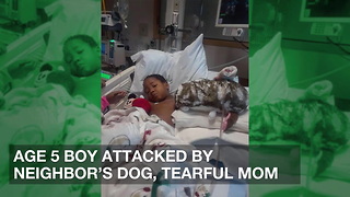 Age 5 Boy Attacked by Neighbor’s Dog, Tearful Mom Fears She’ll Lose Unconscious Son