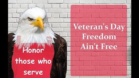 Veteran's Day: Freedom Ain't Free