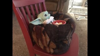 Grogu watching cartoons in the morning and eating popcorn