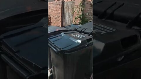 Blackpool council not collecting the rubbish for a month
