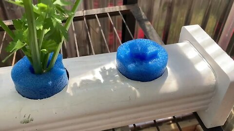 Quick Update: Mixing the Hydroponic Solution