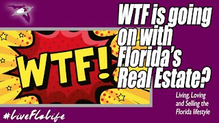 Florida's INSANE Real Estate Market! | Why is it happening?