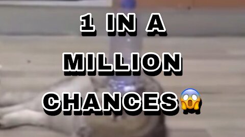 I IN A MILLION CHANCES 😱