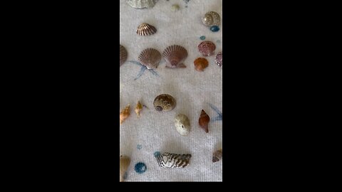 Beach Finds 7/1/24-7/4/24 | | 4K