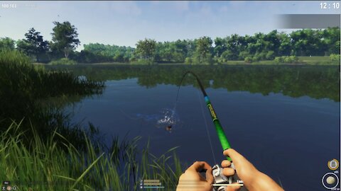 Fisher Online - Belarus: Dukora Pond (New Player Gameplay)