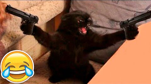 New Funny Animals 😂 Funniest Cats and Dogs Videos 😺🐶 Try Not To Laugh 😂