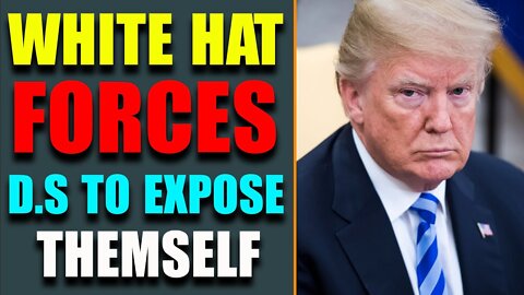 BIG NEWS RELEASE TODAY: WHITE HAT FORCES D.S TO EXPOSE THEMSELF! MAY 25, 2022 - TRUMP NEWS