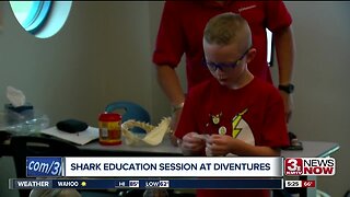 Shark education