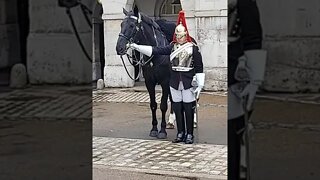 dismount return swords #horseguardsparade