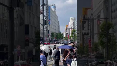 The Most Famous Intersection in the World!! Shibuya Crossing Tokyo! #tokyo #anime #japan