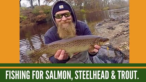Fishing for Steelhead, Salmon & Trout / Trout Fishing in Michigan / Fall Steelhead Fishing Michigan