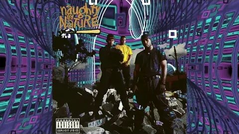 🎵Naughty by Nature - Guard Your Grill