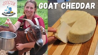 How To Make A Simple Farmhouse Cheddar Cheese