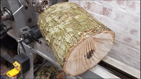 Woodturing - English Holm oak