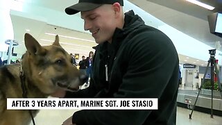 Check This Out: Marine reunited with military working dog