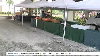 River District Farmers Market returns to downtown Fort Myers every Thursday