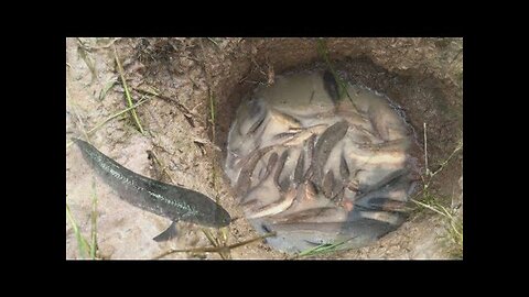 Amazing Deep Hole Fishing - How to fishing with deep hole - Cambodia Traditional Fishing