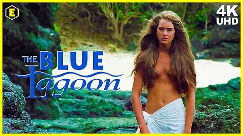 The Blue Lagoon Film Explained in Hindi | 4K VIDEO | फिल्म की व्याख्या हिंदी में