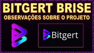 BITGERT BRISE MINHAS OBSERVAÇÕES SOBRE O PROJETO