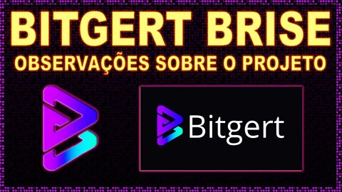 BITGERT BRISE MINHAS OBSERVAÇÕES SOBRE O PROJETO