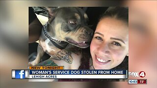 Service dog stolen from woman's home