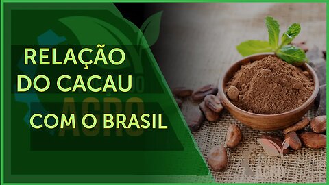 Recuperação das lavouras cacaueiras do Brasil aumentou produção