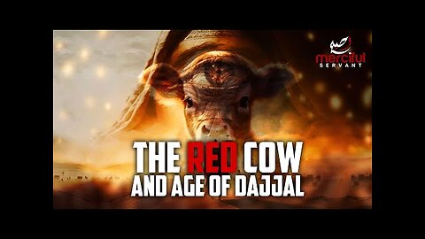 This Red Cow marks the Age of Dajjal #islamicvideos #israel #palestine