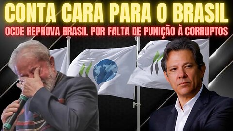 FALTA DE COMBATE A CORRUPÇÃO NO BRASIL INPEDE ENTRADA NA OCDE