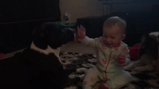 Baby enjoys sweet moment with her favorite doggy