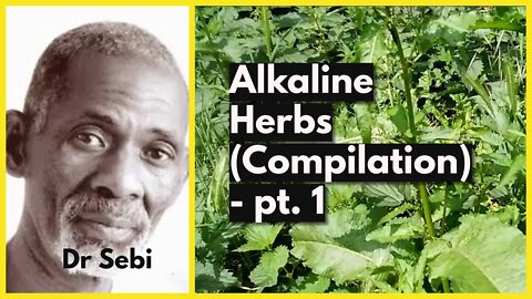 DR SEBI - APPROVED ALKALINE HERBS - [COMPILATION] PART 1 - #PowerfulHerbs