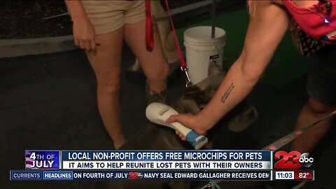 Pet Matchmaker offers free microchips for pets