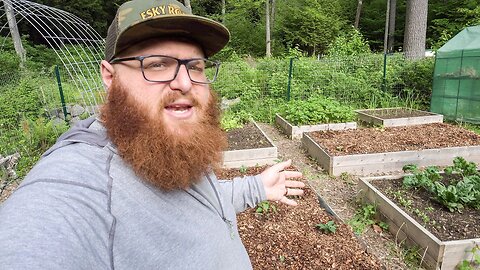 Why You Should Be Gardening In Raised Beds